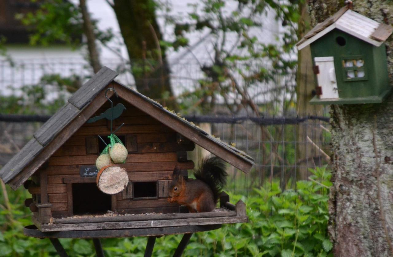 A La Ferme Du Pere Eugene Hotel Malmedy Buitenkant foto